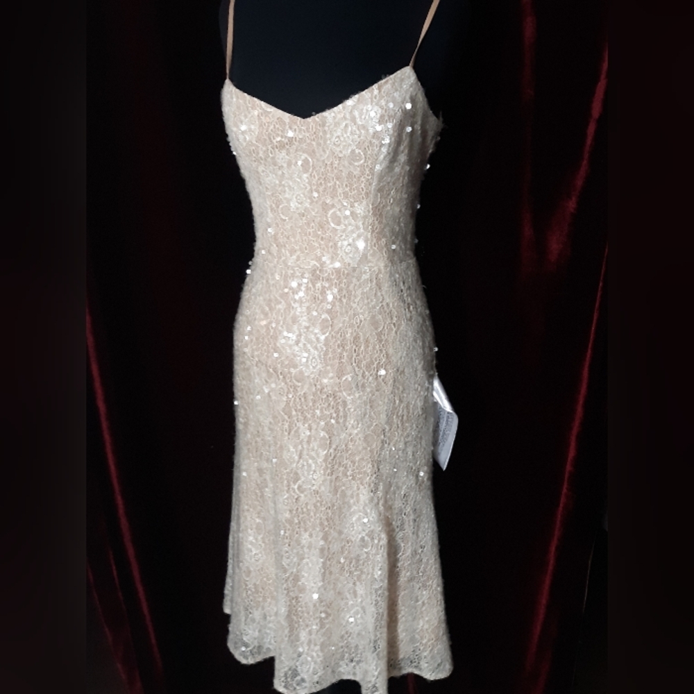 New Tag Dress The Population Antonia Blush Sequin Dress S